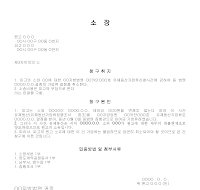제3자이의의소장 제3자이의의소장